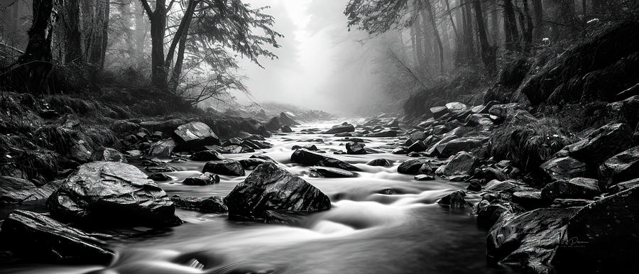 misty stream in BW Photograph by Bill Posner