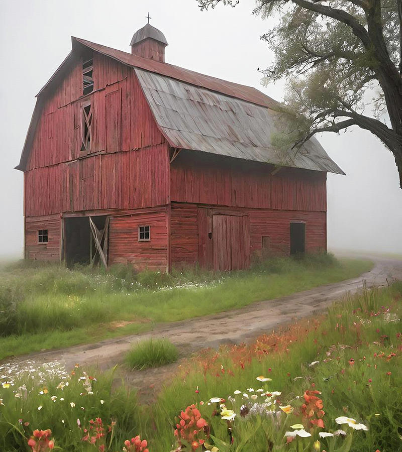 Misty Summer Day In Pennsylvania Photograph by David Dehner