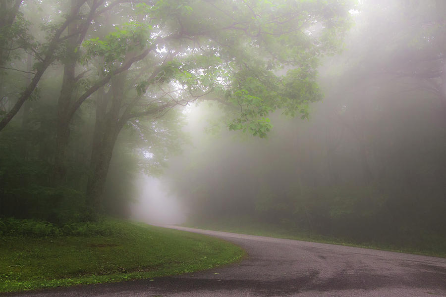 Misty Summer Road Photograph by White Mountain Images