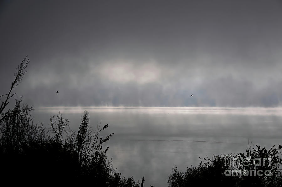 Misty Sunrise At Bald Eagle State Park Digital Art by Lois Bryan