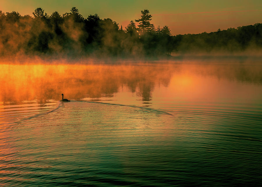 Misty Sunrise Photograph by David Patterson