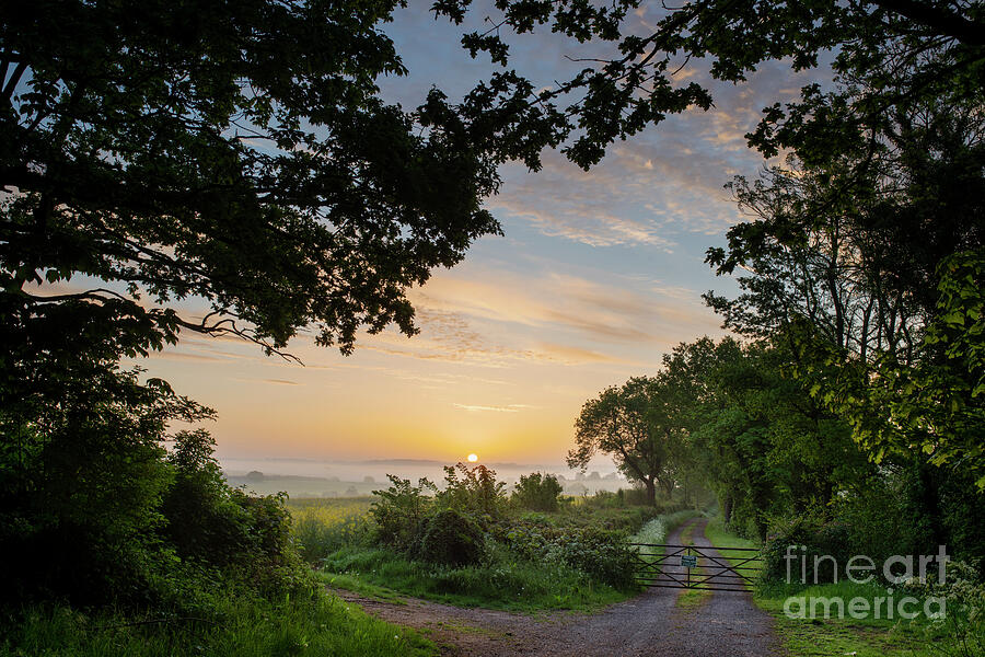 Tree Photograph - Misty Sunrise in the Oxfordshire Countryside by Tim Gainey