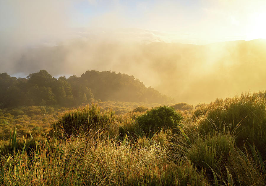 Misty Sunrise - New Zealand Photograph by Tom Napper