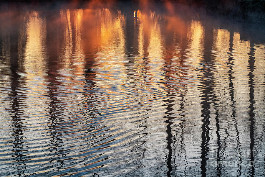 Misty Sunrise Ripples and Reflections Photograph by Tim Gainey