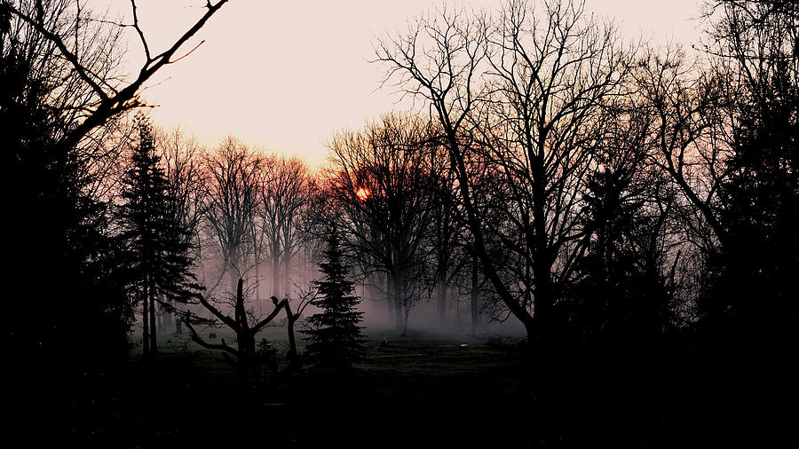 Misty Sunrise Silhouettes Photograph by Hanne Lore Koehler