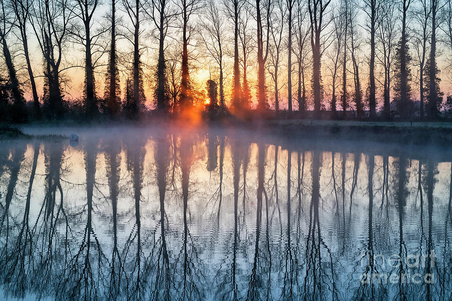 Tree Photograph - Misty Sunrise Trees and River Reflections by Tim Gainey