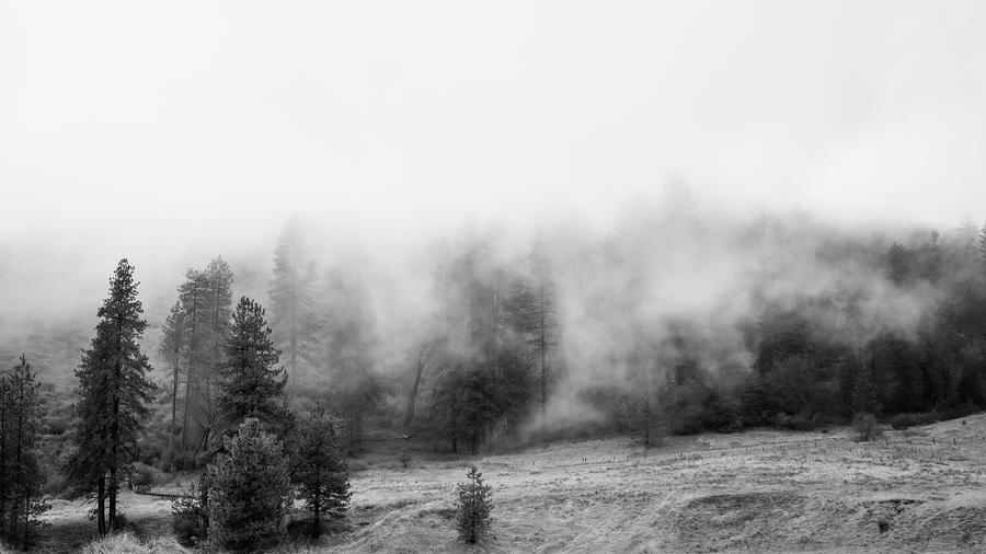 Misty Tops bw Photograph by Ryan Weddle