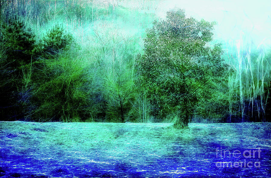 Misty Tree Digital Art by Chris Bee