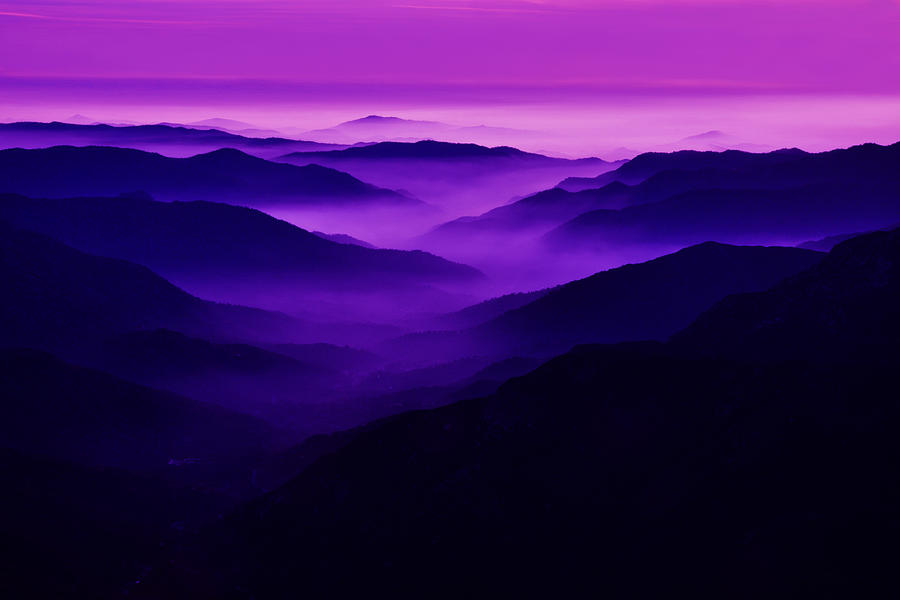 Purple Mist -- Fog-Filled Valley in the Sierra Nevada Foothills, California Photograph by Darin Volpe