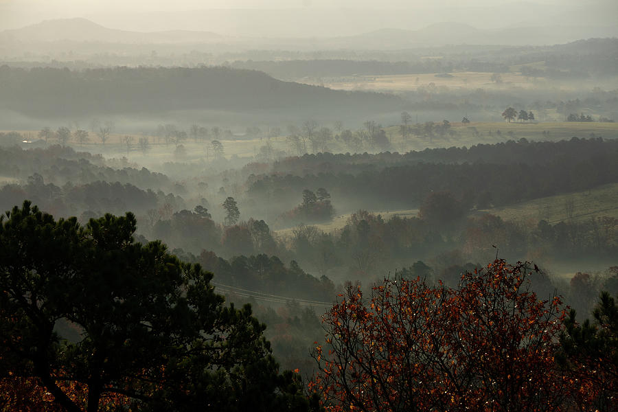 Misty Valley View Photograph by Brandy Herren