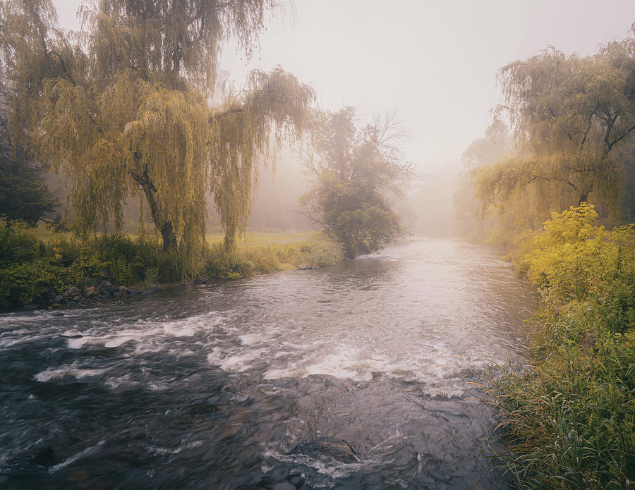 Misty View Down the Little Lehigh Creek Photograph by Jason Fink