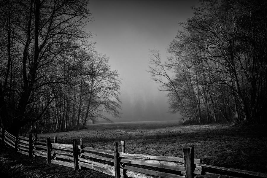 Misty Walk Black and White Photograph by Monte Arnold - Fine Art America