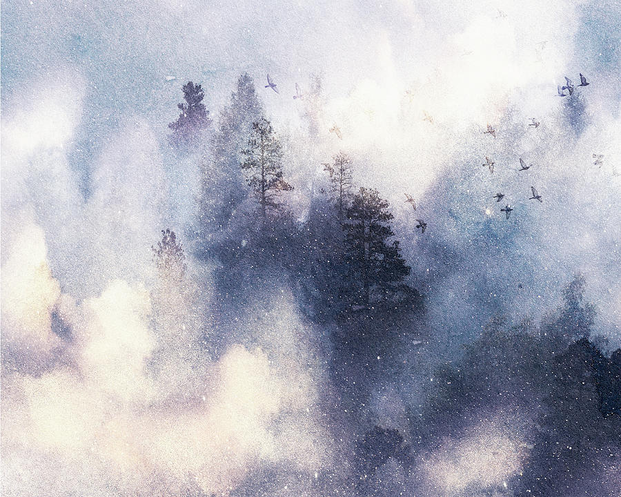 Misty Winter 6 Mixed Media by Colleen Taylor Misty Winter 6 Mixed Media by Colleen Taylor