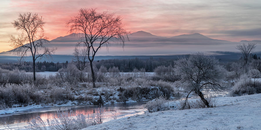Misty Winter Morning Sunrise Magic Photograph by White Mountain Images
