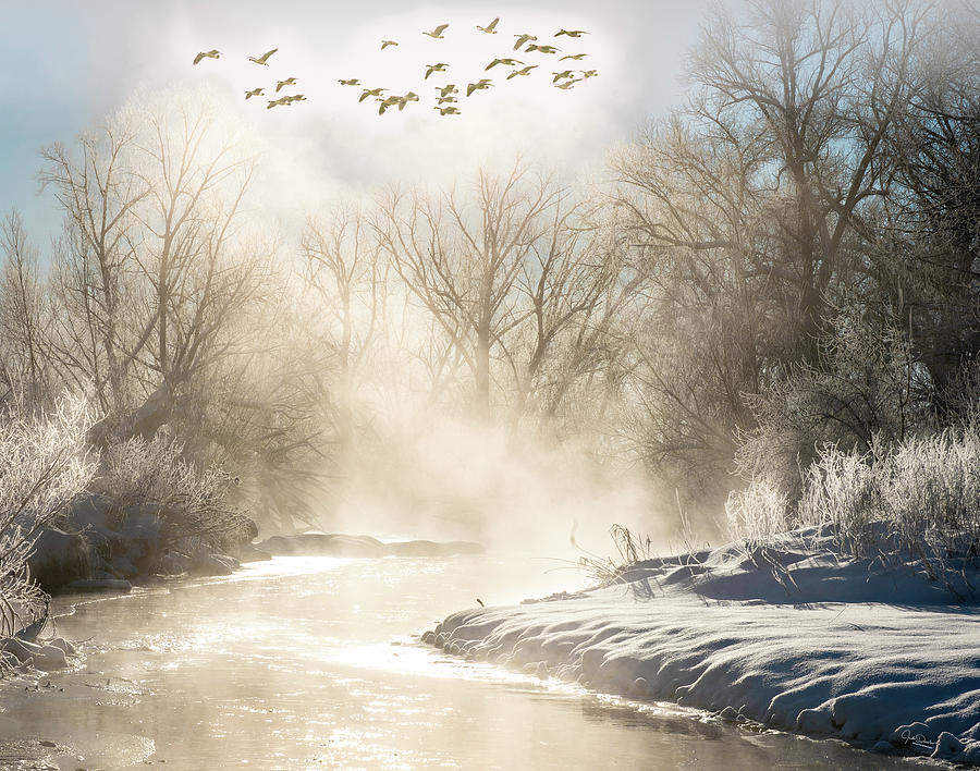 Winter Photograph - Misty Winter Scene by Judi Dressler