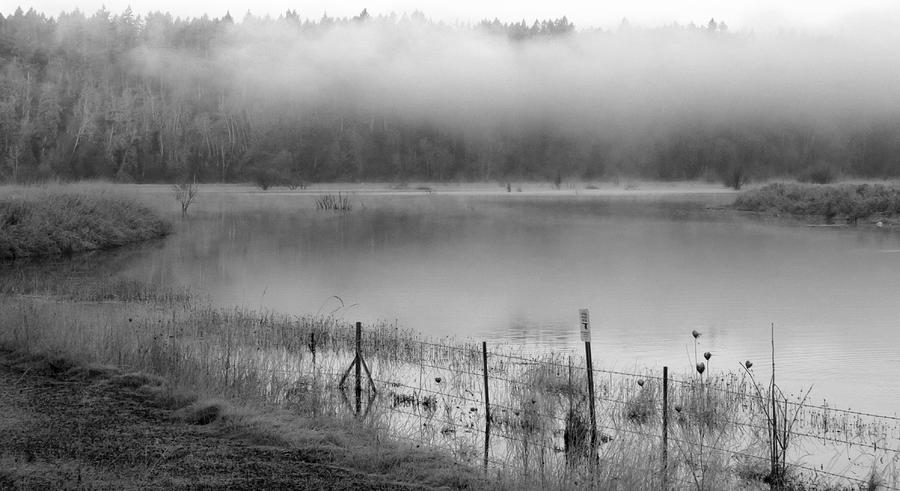 Frosty Dawn Photograph by Iina Van Lawick