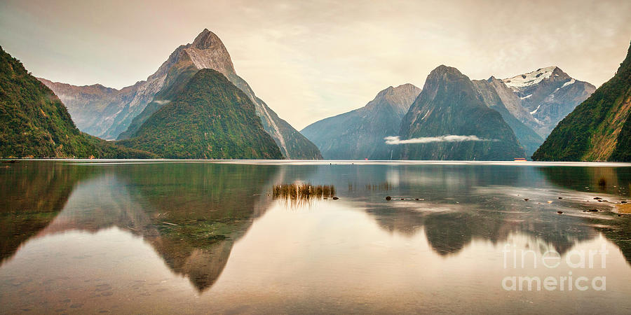 Mitre Peak Milford Sound Fiordland New Zealand in Early Morni Photograph by Colin and Linda McKie