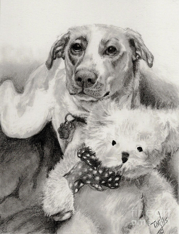 Mixed Breed with Teddy Bear Drawing by Terri Mills