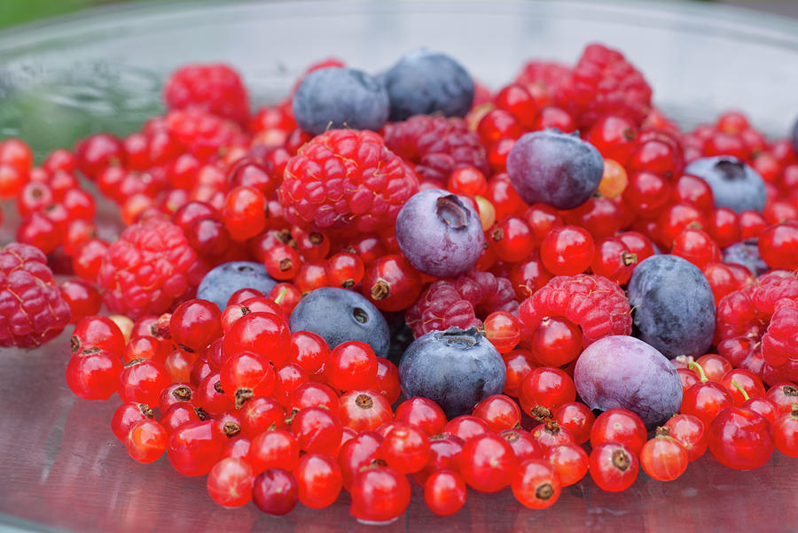 Mixed Fresh Berries Photograph by Iris Richardson