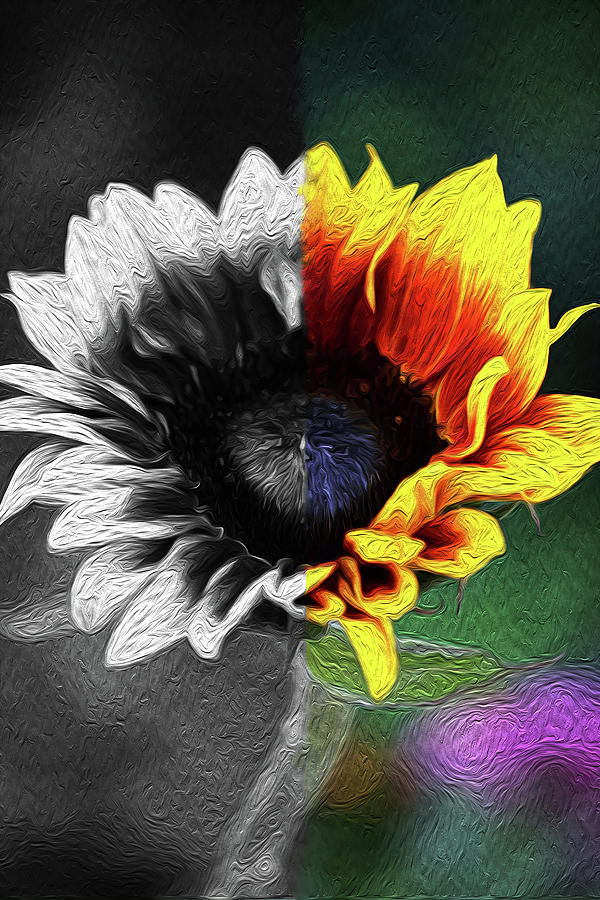 Mixed Life Sunflower Photograph by Vanessa Thomas