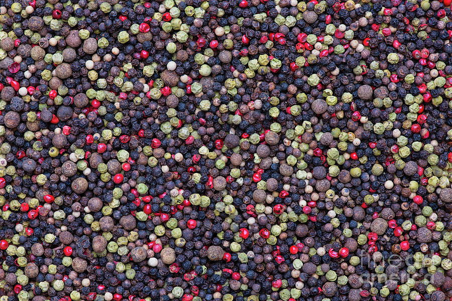 Mixed Peppercorns Photograph by Tim Gainey