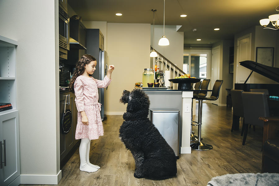 Mixed race girl training dog in kitchen Photograph by Inti St Clair