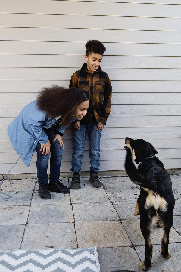 Mixed-race preteen siblings playing with dog outdoors. Photograph by Martinedoucet