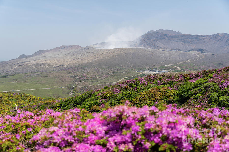 Miyama Kirishima blooming in Mt Aso in Japan Photograph by Didier Marti ...