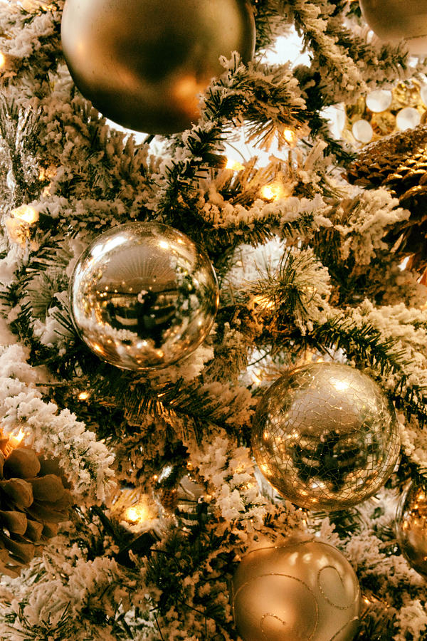 Christmas Photograph - Christmas Tree Ornaments by Jessica Jenney