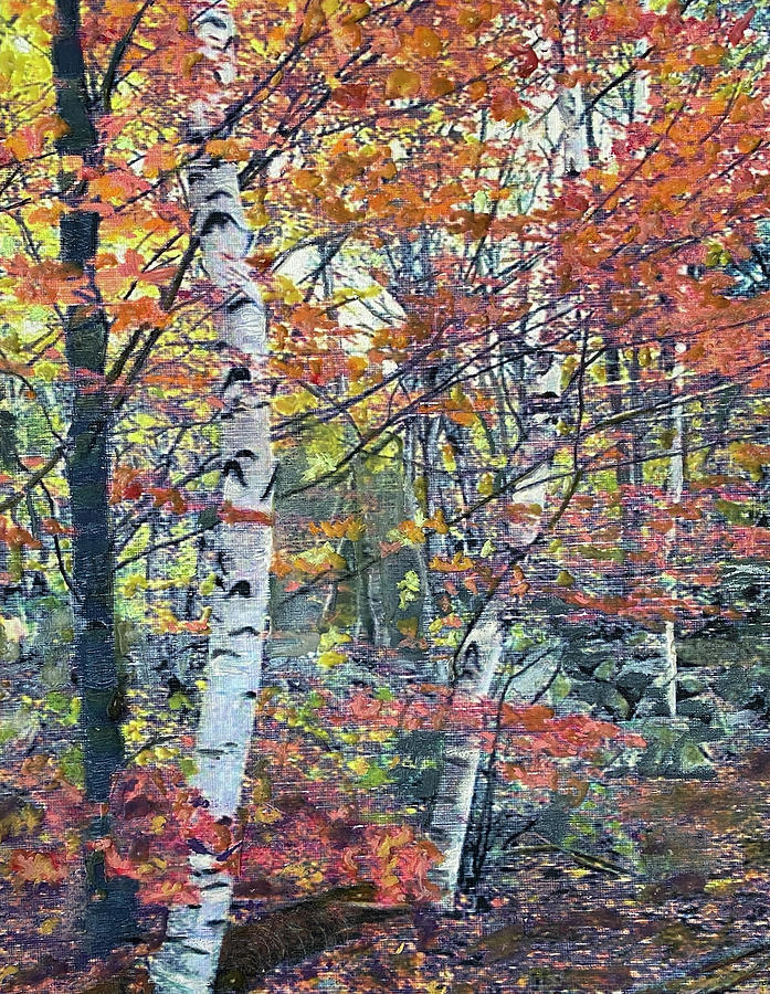 MN Fall Forest Mixed Media by Cara Frafjord
