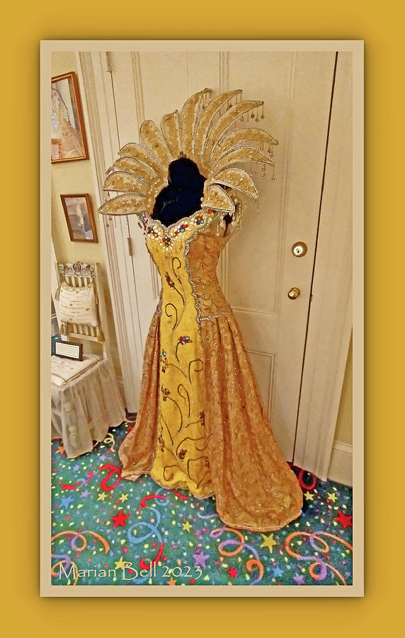 Mobile Carnival Museum Display Mardi Gras Queen's Gown Framed