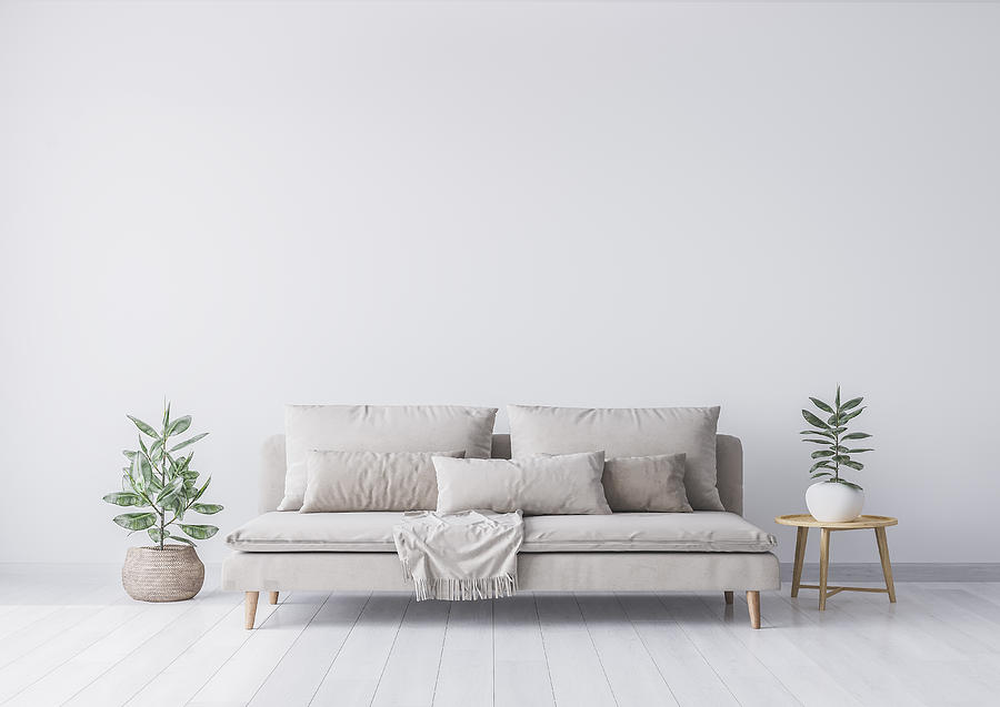 Mock up interior for minimal living room design, beige sofa and green plant on white background. Stock photo Photograph by Lilas Gh