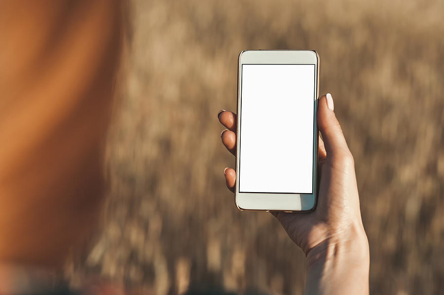 Mock up of the smartphone in the hand of the girl, on the background of the field. Photograph by Victor Prilepa