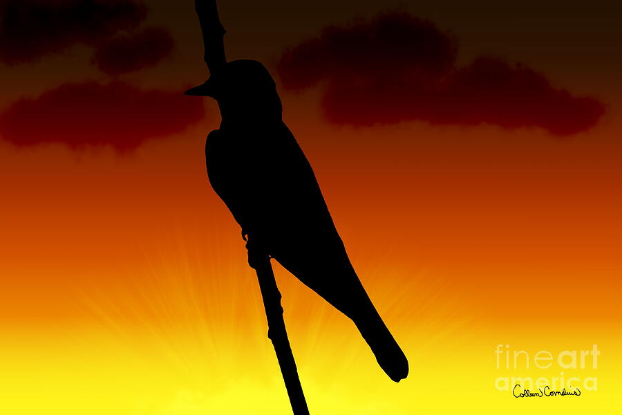 Mockingbird Silhouette Photograph by Colleen Cornelius