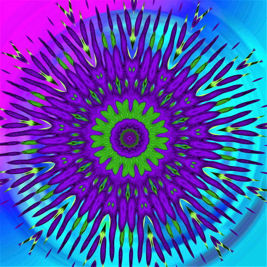 Mod 60s - Rainbow Mandala Digital Art by Ronald Mills
