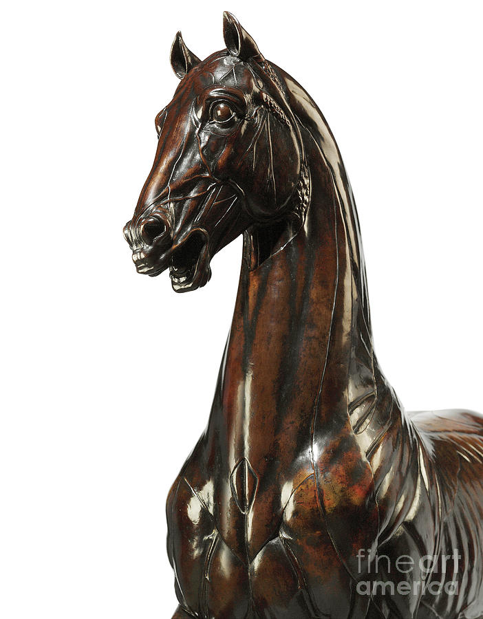 Model of an ecorche horse, after the Mattei Horse of the 1580s Sculpture by Giambologna
