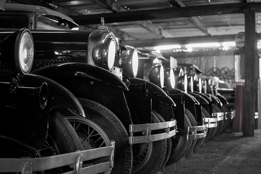 Model T line up 2 Photograph by Mary Hone