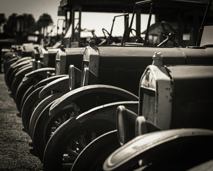 Model T line up Photograph by Mary Hone