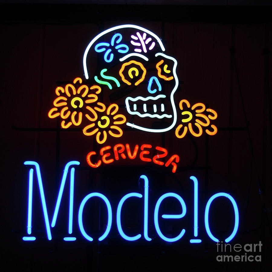 Modelo Photograph by Dorothy Lee