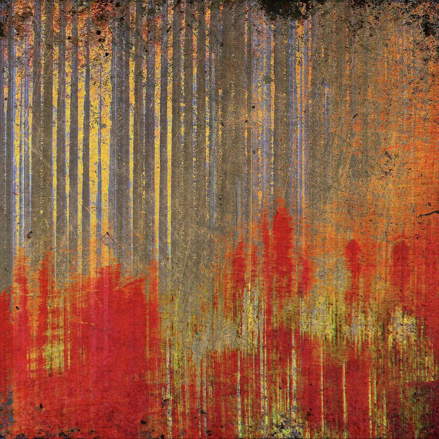 Modern Art Corrugated Rust Print Digital Art by Freddy B Modern Art Corrugated Rust Print Digital Art by Freddy B