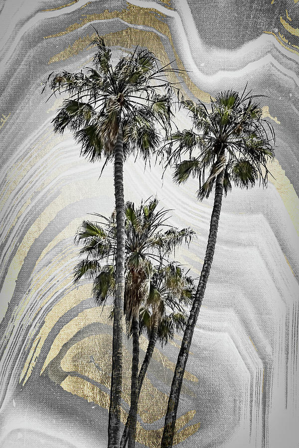 MODERN ART Lovely Palm Trees  Photograph by Melanie Viola