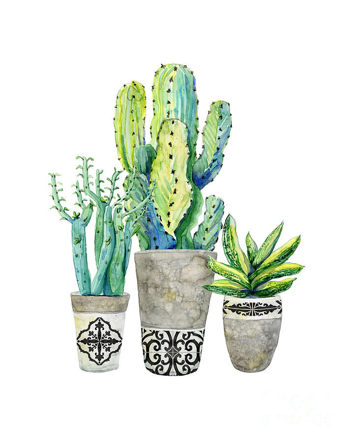 Modern Cactus Garden Trio Concrete Tile Planters Watercolor Black and White Painting by Audrey Jeanne Roberts