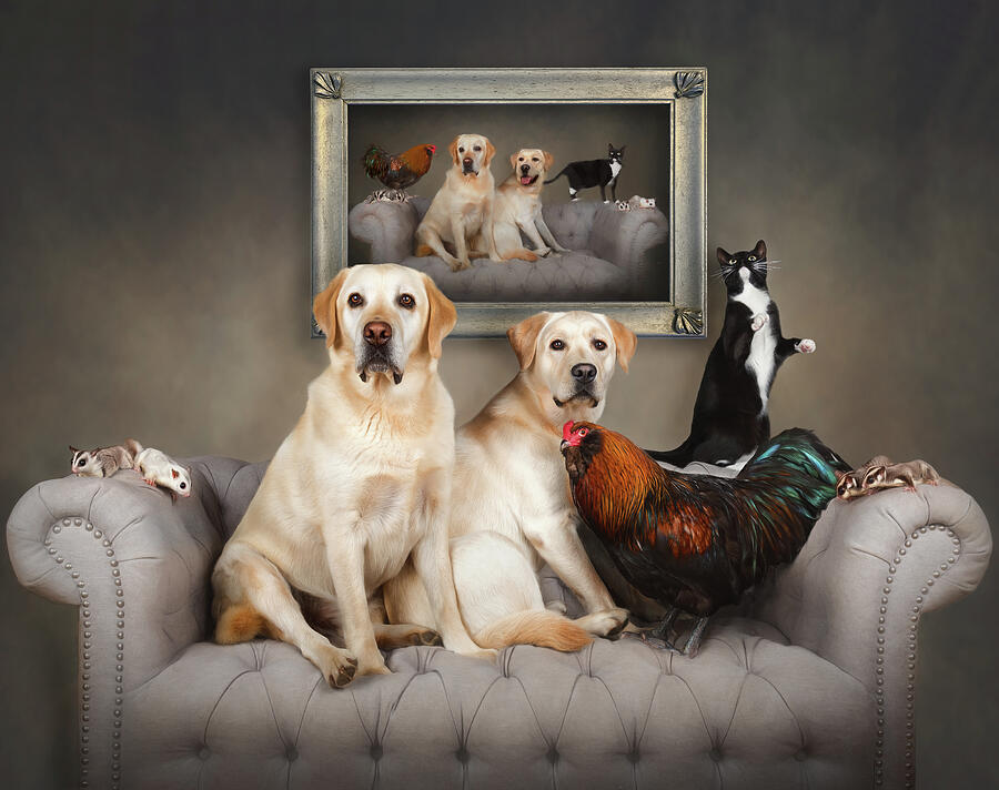 Modern Family Photograph by Tracy Munson