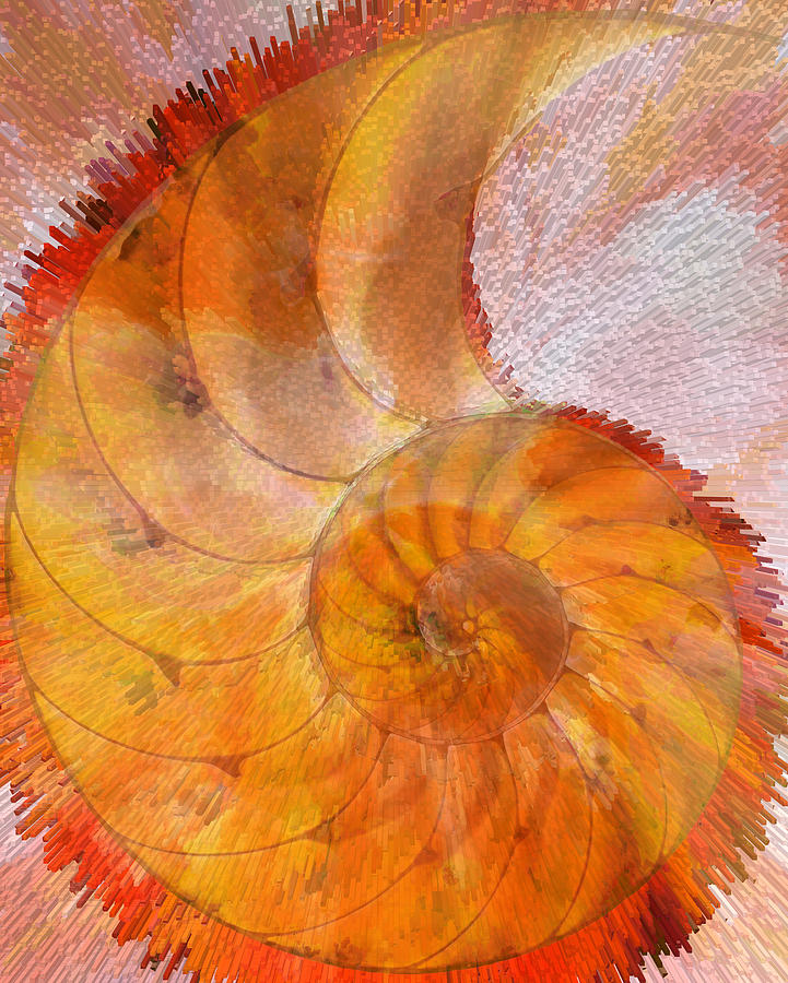 Modern Orange Nautilus Shell Seashell Art Painting by Sharon Cummings