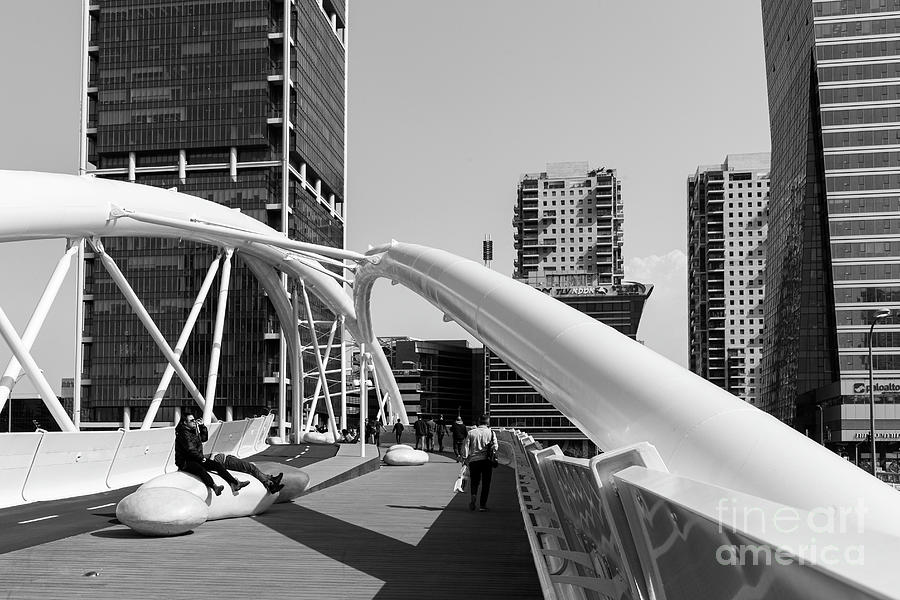 Modern Bridge .black And White Photograph