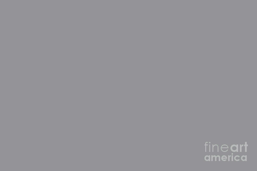 Modern Steel Gray Solid Color Pairs Pantones 2021 Color of the Year Ultimate Gray 17-5104 Digital Art by PIPA Fine Art - Simply Solid