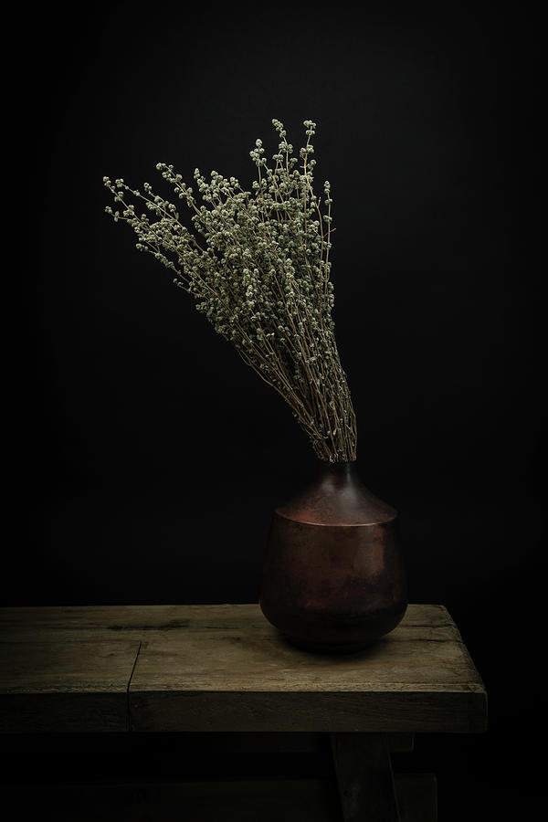 Modern still life dried flowers in a vase Digital Art by Marjolein Van Middelkoop