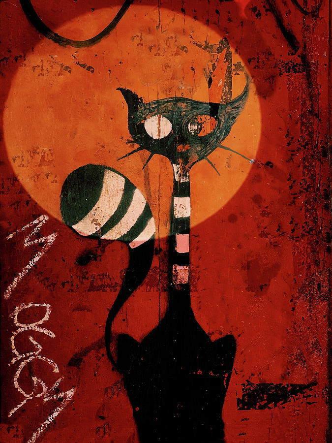 Moggy by Moonlight Mixed Media by Paul Lovering
