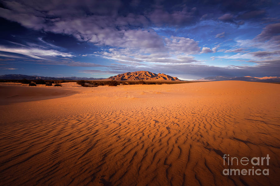 Desert Photograph - Mohave by Marco Crupi