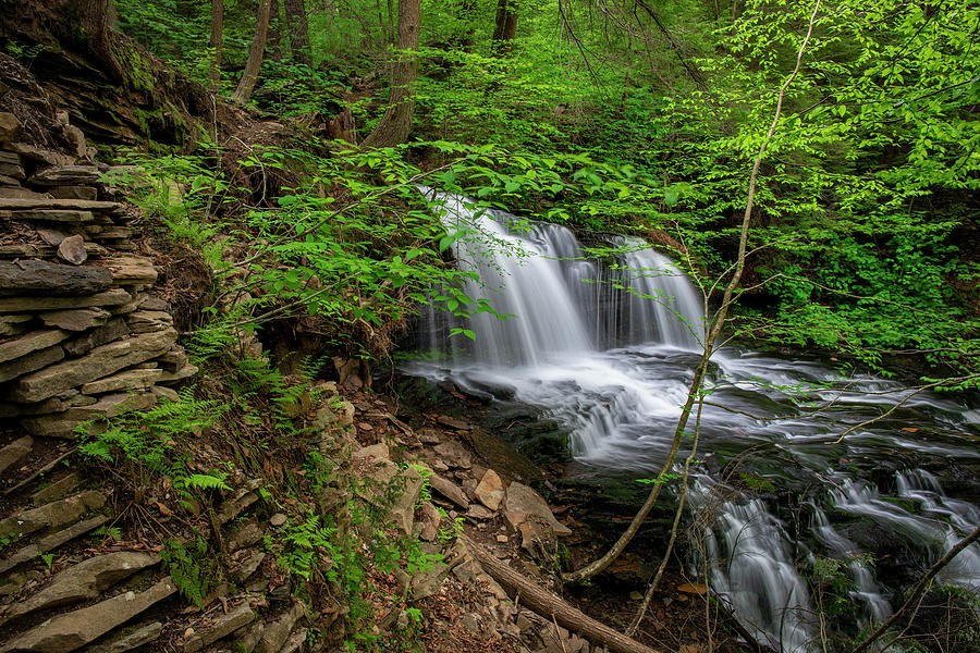 Mohawk Falls Ricketts Glen State Park Photograph by Dan Sproul